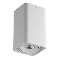 Потолочный светодиодный светильник Lightstar Monocco 052336 
