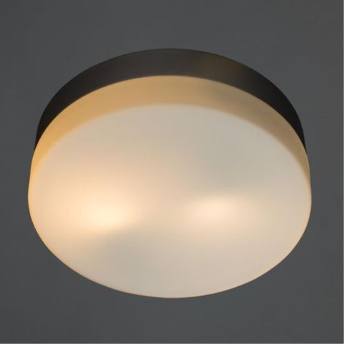 Потолочный светильник Arte Lamp Shirp A3211PL-2SI  фото 2