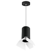 Подвесной светильник Lightstar Rullo (214437+590057+202436) RP437436 