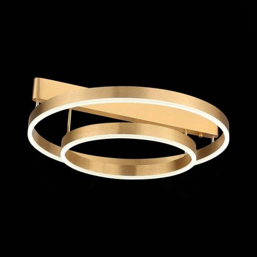 Потолочная светодиодная люстра ST Luce Onze SL944.202.02  фото 2