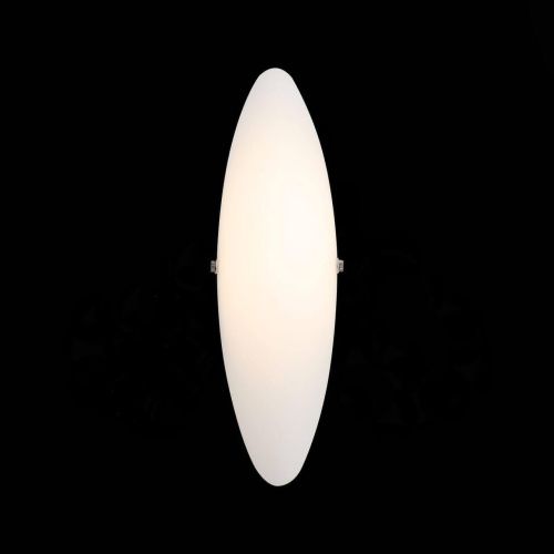 Настенный светодиодный светильник ST Luce Snello SL508.511.01  фото 2