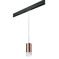 Трековый светильник Lightstar Rullo (214430+595857+202431) PRORP43031 