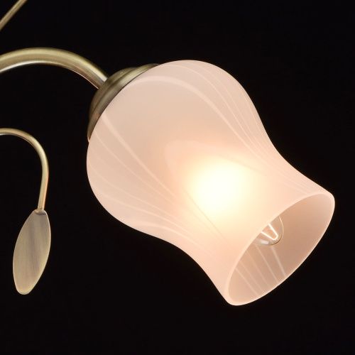 Потолочная люстра MW-Light Флора 256018103  фото 6