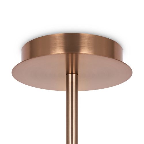 Потолочная люстра Maytoni Erich MOD221PL-10G  фото 4