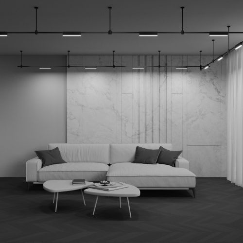 Трековый светильник Technical TR151-1-12W3K-B  фото 5