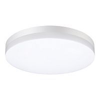 Светильник ландшафтный светодиодный настенно-потолочного монтажа SONEX Opal 358889 
