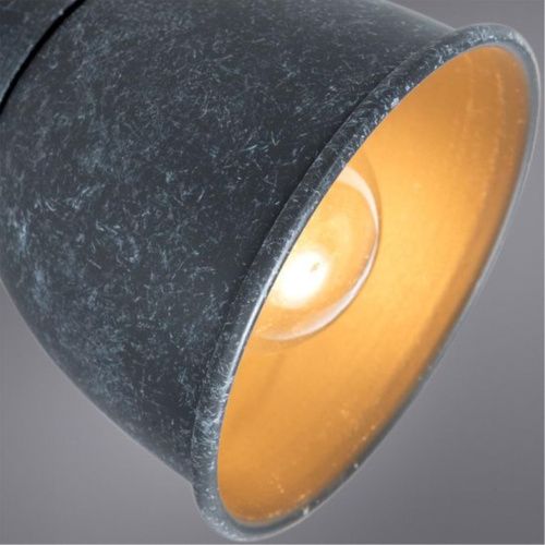 Спот Arte Lamp A1677PL-2GY  фото 3