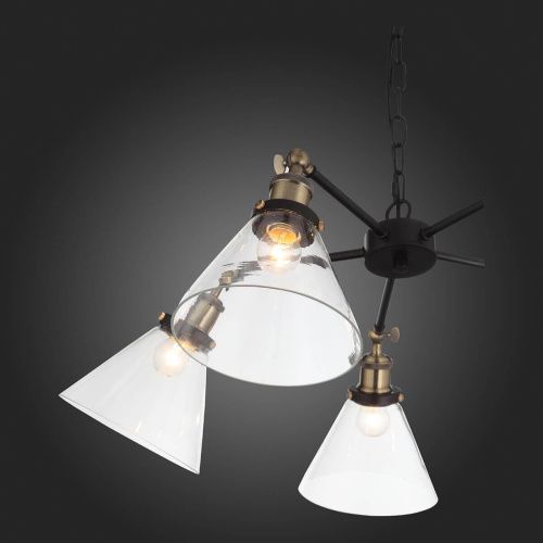 Подвесная люстра ST Luce Evoluto SL237.413.05  фото 9