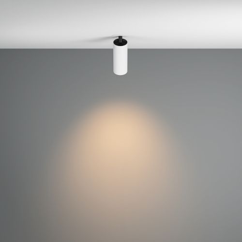 Потолочный светильник Technical C053CL-L12W3K-W-W  фото 4
