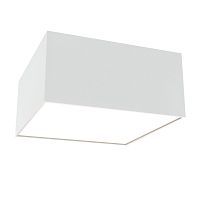 Потолочный светильник Technical C067CL-L12W4K 