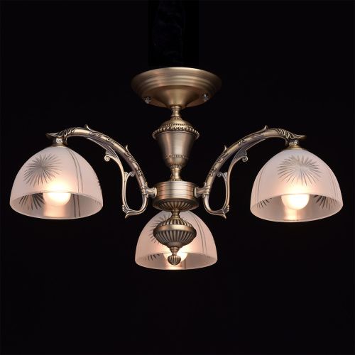 Потолочная люстра MW-Light Ариадна 450011503  фото 5