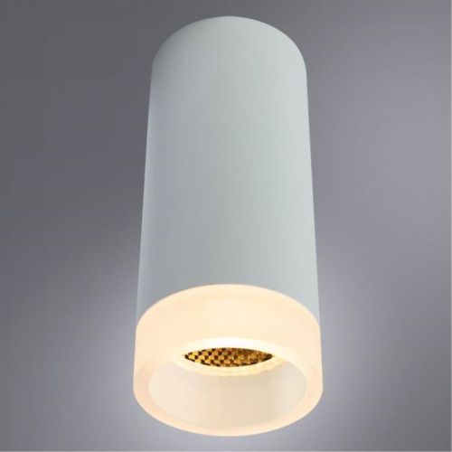 Потолочный светильник Arte Lamp Ogma A5556PL-1WH  фото 2