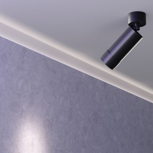 Потолочный светильник Technical C055CL-L12W3K-Z-B  фото 2