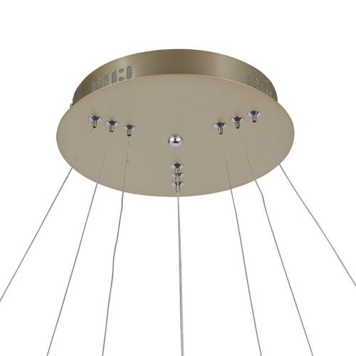 Подвесная светодиодная люстра ST Luce Erto SL904.203.03  фото 6