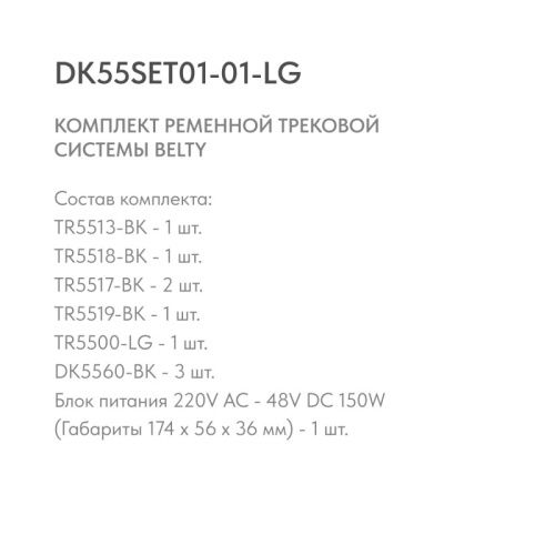 Трек-система Denkirs DK55SET01-01-LG  фото 2