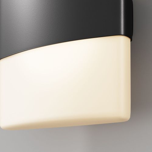 Настенный светильник (бра) Outdoor O442WL-L12GF3K  фото 2