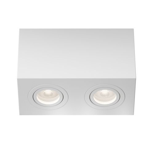 Потолочный светильник Maytoni Technical Atom C017CL-02W 