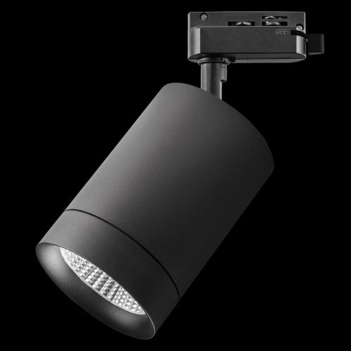 Трековый светодиодный светильник Lightstar Canno Led 303272  фото 2