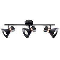 Спот Arte Lamp Baltimore A1406PL-3BK 